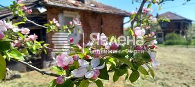 Продажба - Къща във Фазаново,  Бургас