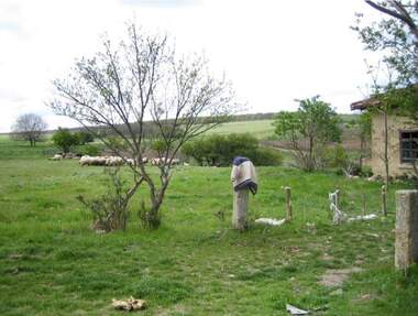 Vânzare - Teren de construcții în Tianevo,  Dobrice