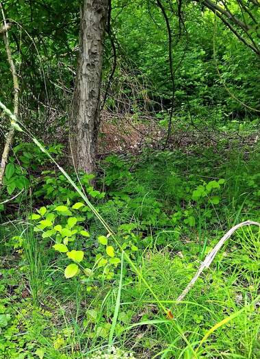For sale - For Construction in Rudarci,  Pernik