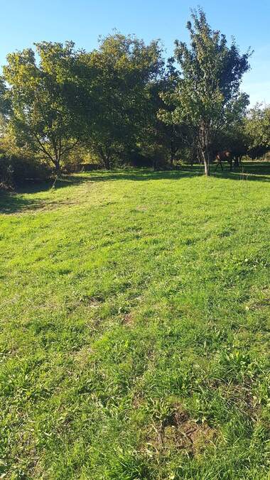 For sale - For Construction in Sapareva Bania,  Kiustendil