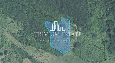 For sale - Agricultural land in Grozden,  Burgas