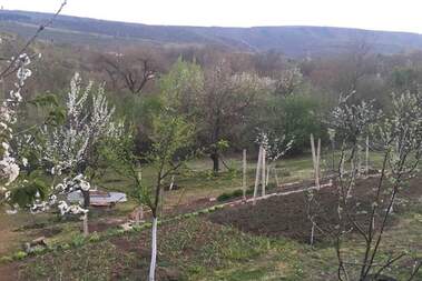 Satış - Ev olarak Kozluca,  Veliko Tarnovo
