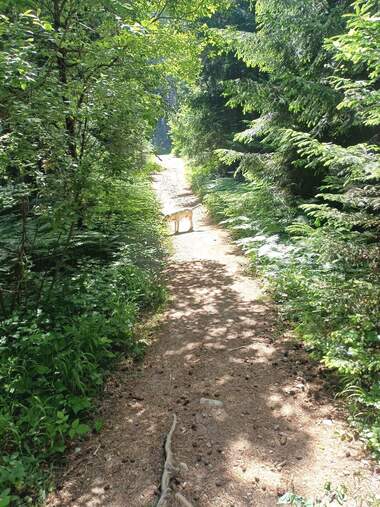 For sale - Agricultural land in Razlog,  Blagoevgrad